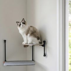 CAT ROAD +ハンモック&キャットステップ キャットウォーク - メルカリ