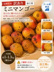 【訳あり・加工用】ミニマンゴー 約1〜1.3kg 黒点・キズ・シワあり ご理解頂ける方限定のサムネイル