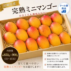 食品 【オススメ】 宮崎 完熟 特大ミニマンゴー 12玉 2.4k 〜 ②
