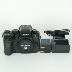 良品 | シャッター数14,170回] Panasonic LUMIX DC-G99 | マイクロ