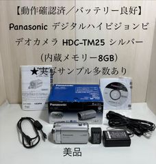 動作確認済／バッテリー良好】Panasonic デジタルハイビジョンビデオ
