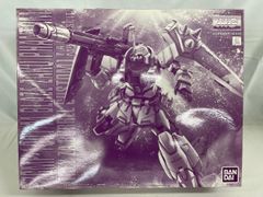 MG ZGMF-1001/M ブレイズ ザクファントム レイ・ザ・バレル専用機