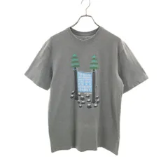 patagonia パタゴニア 半袖 Tシャツ S グレー 38446SP19 アウトドア メンズ 古着のサムネイル