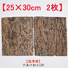 コルク樹皮　ビカクシダ　観葉植物　爬虫類　等 c1205 20×30cm 2枚 コルク樹皮 コルク板 バージンコルク 洗浄済