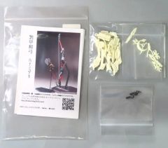 千輝モデル 1/100 天魔 ドム ガレージキット造形 プラモデル - メルカリ