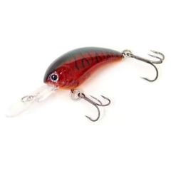 新品2点 ノリーズロックフィッシュボトム まとめ売り（単品も可