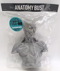 海洋堂 210mmソフトビニール製フィギュア 片桐裕司 The ANATOMY BUST