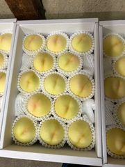 岡山の清水白桃 12玉〜14玉入り 3.7キロ箱 - メルカリ