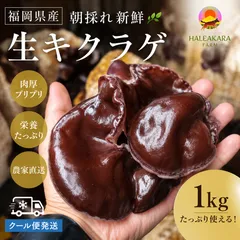 HALEAKARA FARM福岡県産！生キクラゲ1キロ！！のサムネイル