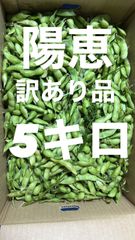 48 300キロ限定大セール 訳あり品 枝豆 湯上がり娘 5キロ 有機肥料 