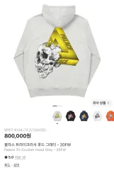 パレス トライクラッシャー フーディー グレー - 20FWのサムネイル