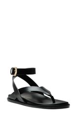 スチュアート ワイツマン レディース シューズ サンダル Stuart Weitzman Marykate Sandal Black ブラック