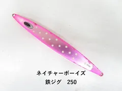 ネイチャーボーイズ 鉄ジグ　250 (04-9405200002)のサムネイル