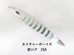 ネイチャーボーイズ 鉄ジグ　250 (04-9405200003)のサムネイル