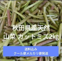 秋田県産天然 山菜 カットミズ2㎏ - メルカリ