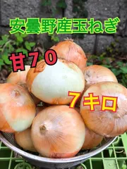 期間限定！玉ねぎ　甘７０　７キロ　農薬：栽培期間中不使用のサムネイル