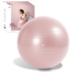 ALINCO Balance Ball Chair (30cm, 55cm, 65cm, 75cm) - Lightweight, with Air Pump and Exercise Manual - Ideal for Stretching, Fitness, Yoga, and Balance Exercises at Home