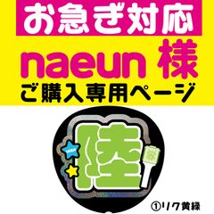 naeun様専用ページ◇お急ぎ対応】うちわ文字 反射シート ファンサ