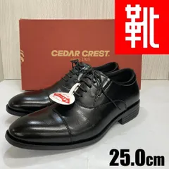 M-977 ■kutsu.com公式■ CEDAR CREST 軽量ストレートチップビジネス  CC-1338 ブラック 25.0cmのサムネイル