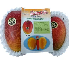 熊本マンゴー　訳あり　約1ｋｇ【規格外】加工用　熊本産　クール便発送　60サイズのサムネイル