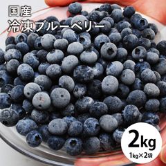 3kg＋サービス 岩手県産 無農薬 冷凍ブルーベリー - メルカリ