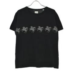 【YSTRDY'STMRRW】YT-C0423 PEGASUS TEE半袖Tシャツのサムネイル