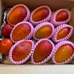 訳あり】宮崎完熟マンゴー 9玉 約3kg - メルカリ