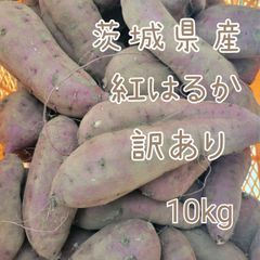 訳あり紅はるか 10kg 茨城県産 農薬不使用 - メルカリ