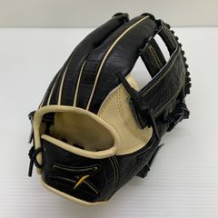 ミズノ MIZUNO ミズノプロ mizunopro 1AJCH91920 硬式 大人 一般