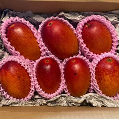 訳あり宮崎完熟マンゴー11玉 約3.7kg 冷蔵発送 - メルカリ