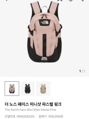 ノースフェイス リュック ミニショット ライトブラウン 韓国 キッズ