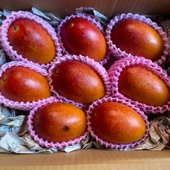 訳あり宮崎完熟マンゴー11玉 約3.7kg 冷蔵発送 - メルカリ