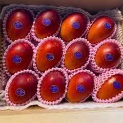 訳あり宮崎完熟マンゴー6玉約2.9kg＊即発送 - メルカリ