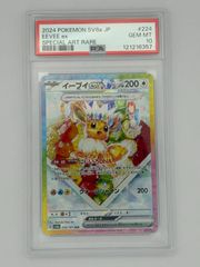 PSA10】ソウブレイズex SAR SV8a 203/187 ポケモンカード - メルカリ