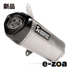 AKRAPOVIC 아크라포비치 슬립 온라인 스텐 EC/ECE VESPA GTV/GTS S-VE3SO9-HRSS (2624762)