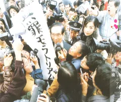 2026年最新】椎名林檎 レコード 無罪モラトリアムの人気アイテム