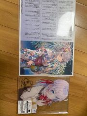 d*r様 機動戦艦ナデシコ ホシノルリ B2ポスター 5点セット - メルカリ