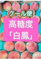 甘い白桃 白鳳 山梨県産 もも 平均糖度14度以上 秀品 - メルカリ