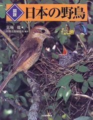 初版】羽根図鑑 : 日本の野鳥 - メルカリ
