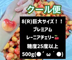 超希少8R 巨大レーニアチェリー 糖度25度以上 500g さくらんぼ クール