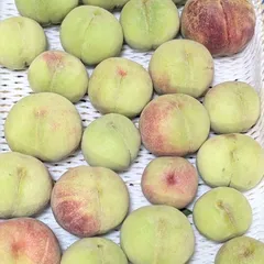 Đào xanh cứng 5kg 硬い緑の桃  ⚠️7月7日収穫⚠️9日発送⚠️なつっこのサムネイル