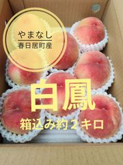山梨一宮の甘い桃 特大サイズを6個詰めて発送 今が旬だね ちくりん