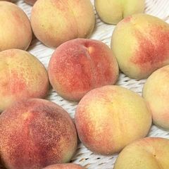 桃 ちよひめ 2kg 訳あり 山梨産 朝採り当日発送 - メルカリ