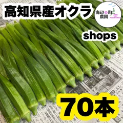 夏野菜【高知県産オクラ】A品＆B品 70本 おくら 野菜 産地直送のサムネイル