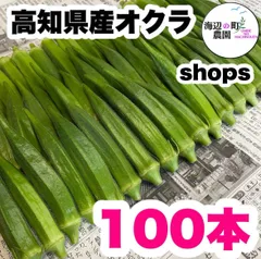 夏野菜【高知県産オクラ】A品＆B品 100本 おくら 野菜 産地直送！のサムネイル