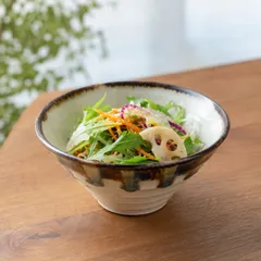 三彩 V碗 ボウル 陶器 小代焼 小代本谷ちひろ窯 飯碗 ご飯茶碗 小鉢 うつわ 和食器 陶器 伝統工芸品のサムネイル