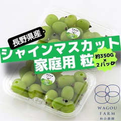 長野県産 シャインマスカット 家庭用 訳あり品 粒 約350g × 2p 7月10日より順次発送予定(前後する場合があります）