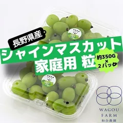 長野県産 シャインマスカット 家庭用 訳あり品 粒 約350g × 2p 7月10日より順次発送予定(前後する場合があります）のサムネイル