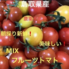 鳥取県産 農薬不使用 フルーツトマト1kgのサムネイル
