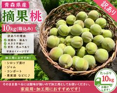 食品 【大粒希少品種】稲積梅 3kg 栽培期間中農薬不使用 梅酒·梅